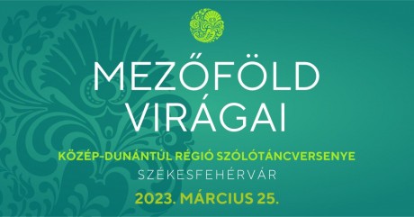 Székesfehérváron lesz a XI. Mezőföld Virágai szólótáncverseny